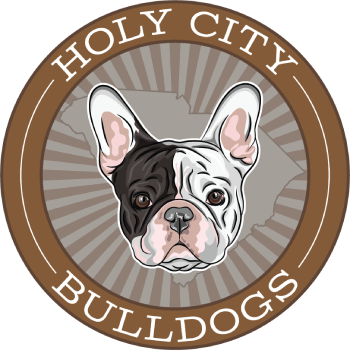 Holy City Bulldogs